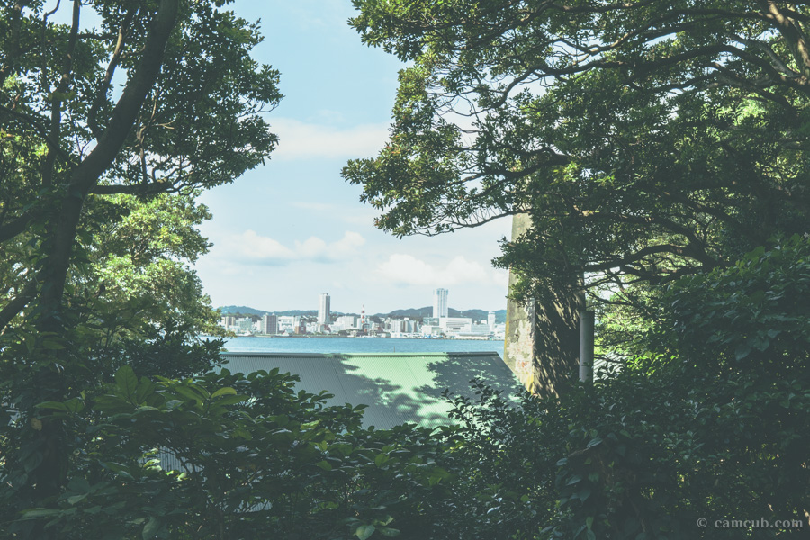 猿島の探検ルートの木々の間から見える横須賀の街