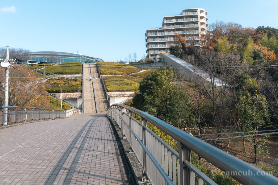 横浜国際プールまでの道のり 光の階段